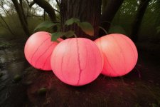 glowing_pink_Melons_on_vine_sw(3).jpeg