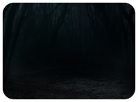 darkforest.png