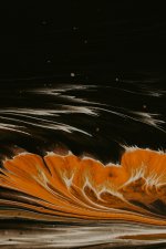 Sunburst.jpg